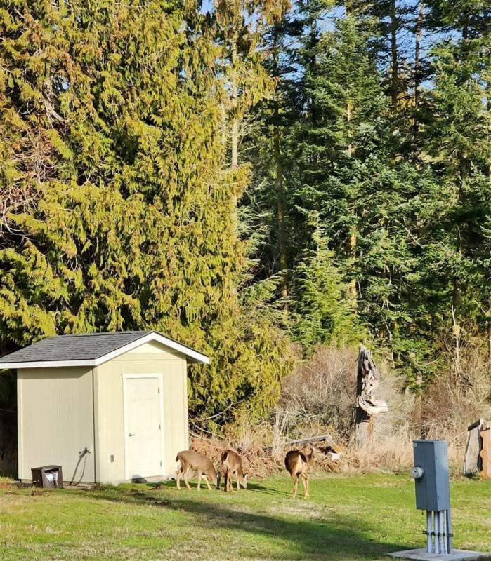 Sq Olympic-View-Cottage Sequim Exterior foto